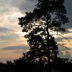 фотоальбом "Первый и по всей вероятности последний"