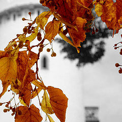 photo "On background of the lock..."