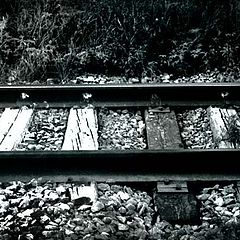 фото "via"