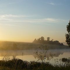 photo "Gold morning"