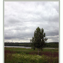 фото "Хмурое утро"