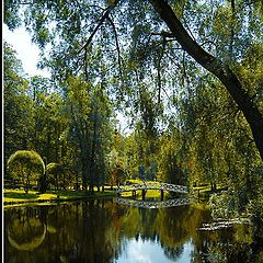 photo "Magic landscape in Russian province"