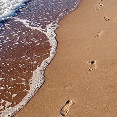 photo "The footprints on the beach."