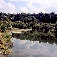 photo "On the River"