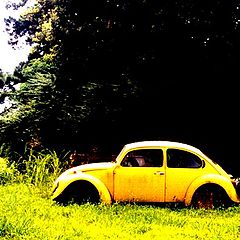 photo "THE END OF AN ERA: The demise of the VW BUG"