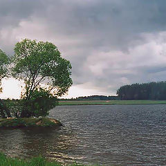 photo "Island on Volga"