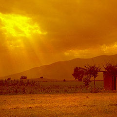 photo "Orange landscape"