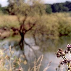 photo "My kind of old famous russian landscape"