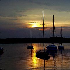 photo "end of the day....(1)"