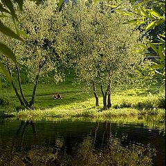 photo "Meeting near silent river"