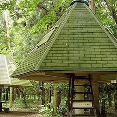 фото "mushroom hotel"