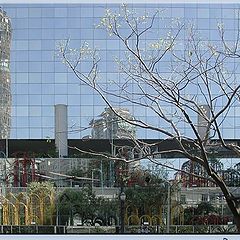 photo "Sampa Mirror"