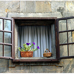 photo "A window"
