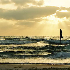 photo "No swimming."