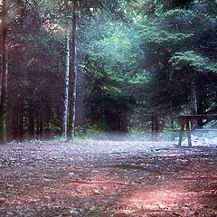 photo "Impression - the bench"