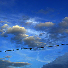 photo "Silent barrier."