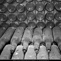 photo "Old bottles in the celler"