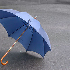 photo "Maros Umbrella"