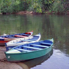 photo "Romantic tree boats"