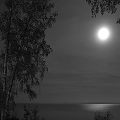 фото "Лунная ночь"