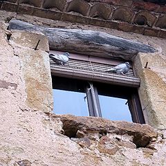 photo "Small window..."