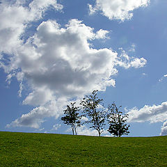 photo "Windows Xp theme by Zoran : )"