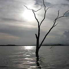 photo "Rio Verde 1"