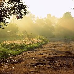 photo "Light and shadows"