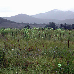 photo "Northern Caucasus"