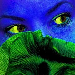 photo "EYES"
