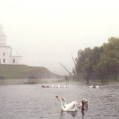 photo "Misty morning on Kamenka river"