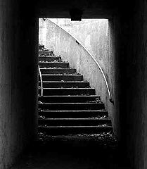 photo "Stairs"