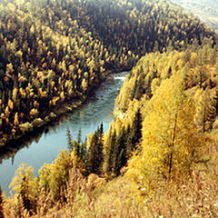 фото "Осенняя Катунь"