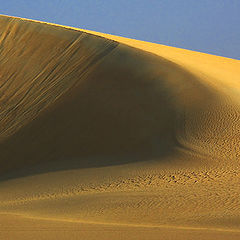 фото "Sand Dune # 14"