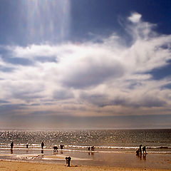 photo "Catching shells"