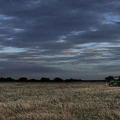 photo "Fight for a crop."