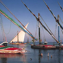 фото "Masts & sails#1"