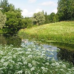 photo "Summer in Pavlovsk"