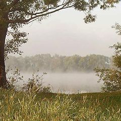 photo "The window in a receding fog."