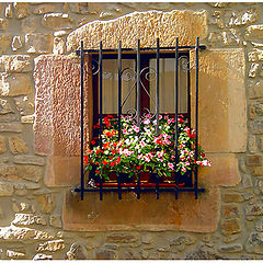 photo "A window (II)"