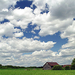 фото "Under the careful eye of the clouds"