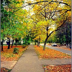 photo "Autumn Colors"