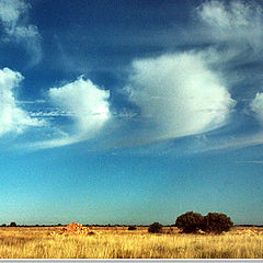 photo "Clouds parade"