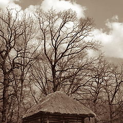 photo "Small house of the forester"