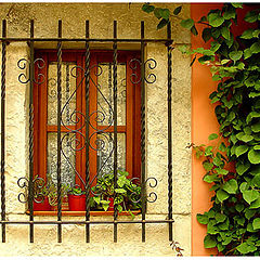 photo "A window (III)"