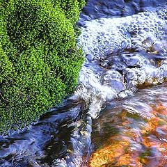 фото "Осенние краски маленькой лесной речки."