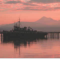 фото "tug in pink sunrise"