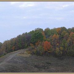 photo "All paints of autumn"