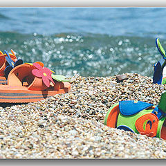 photo "waiting for their owner"
