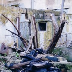 album "SilentEyes"